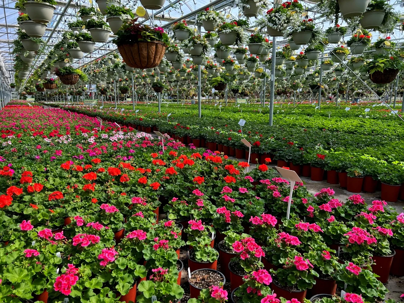 Gift cards available from Illinois Sunrise Greenhouse garden center